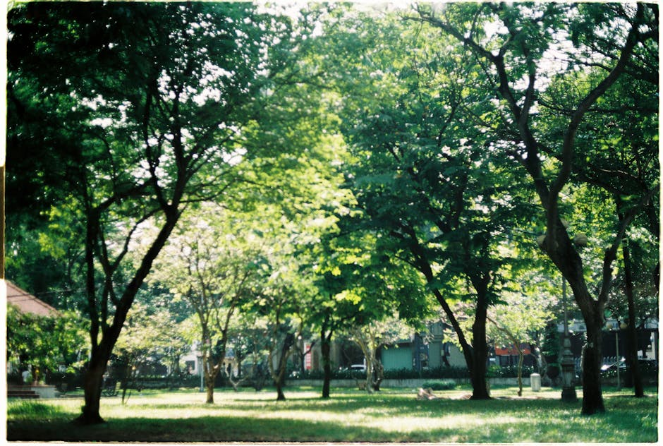 Free Things to Do in Vancouver