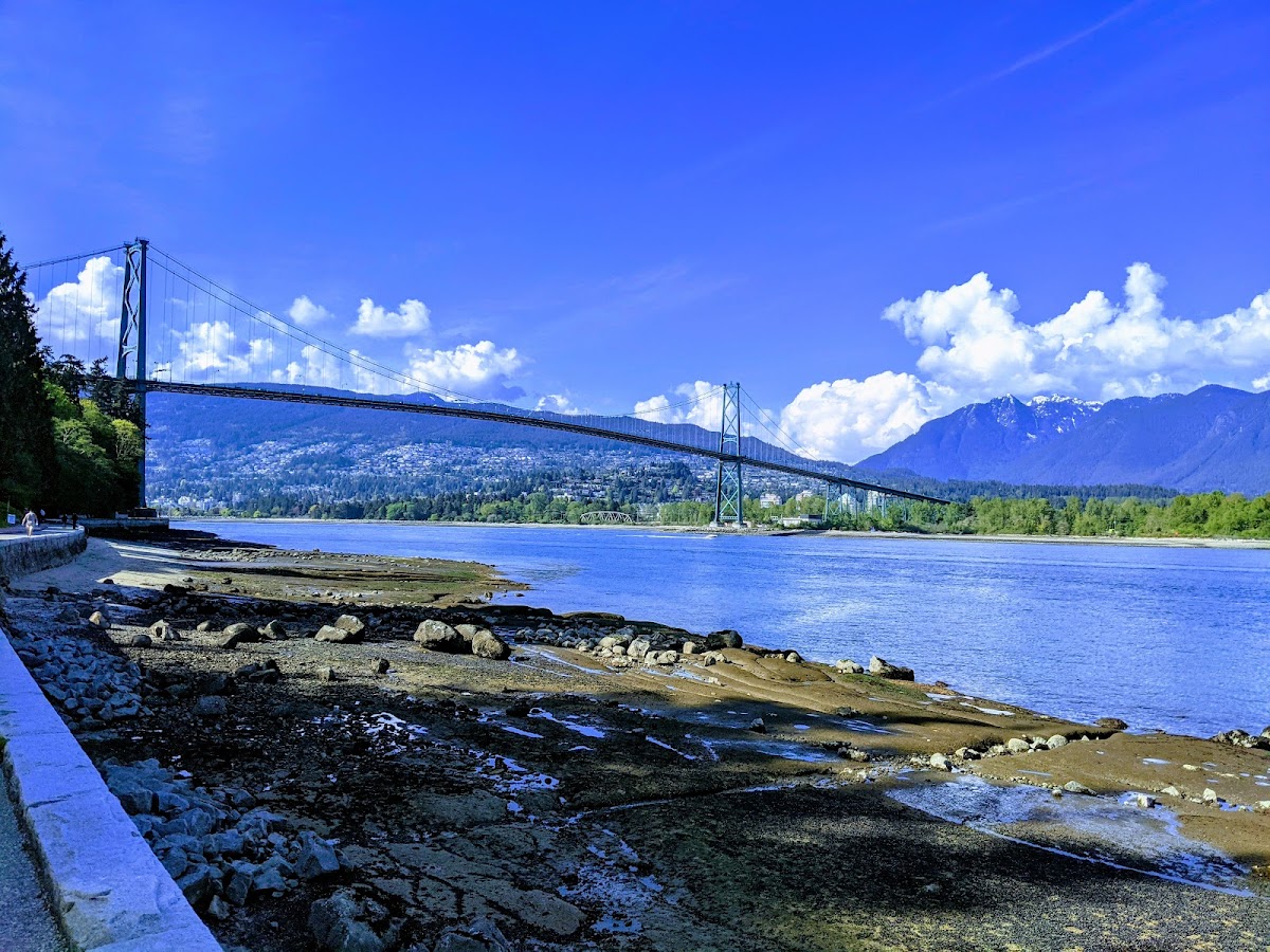 Seawall Family Bike Ride