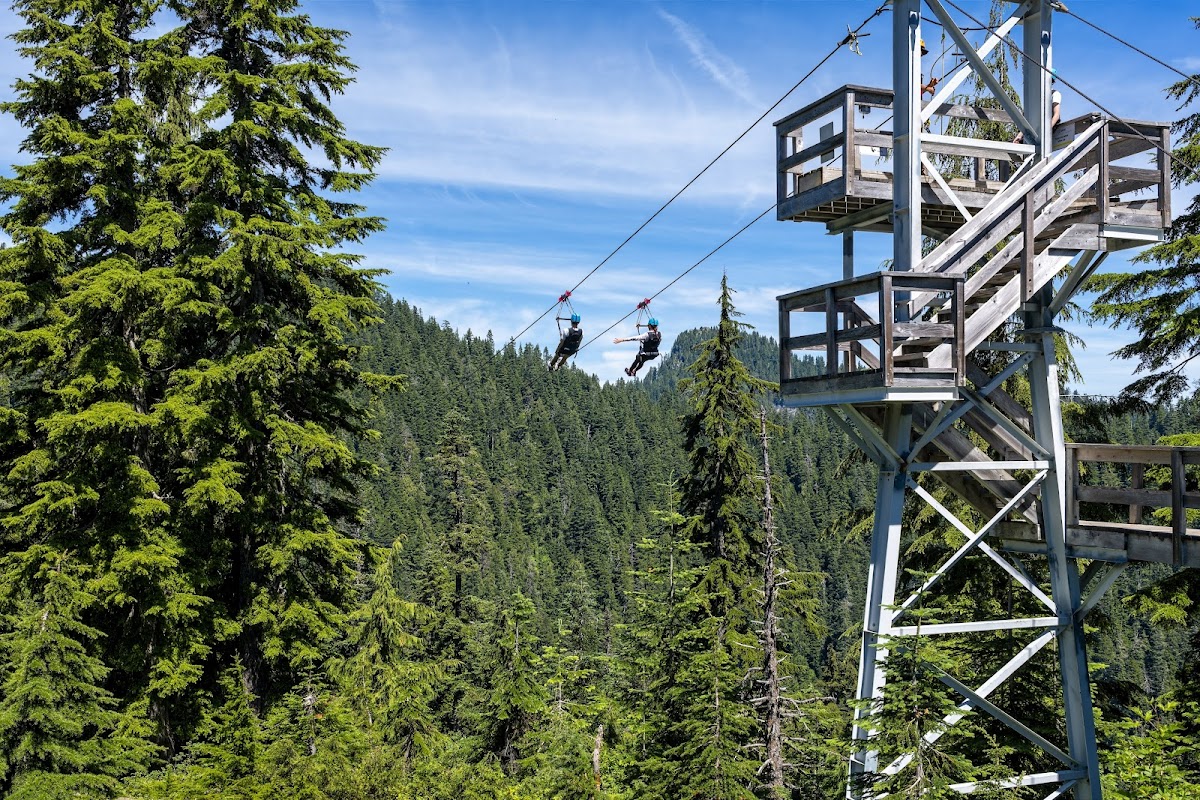 Grouse Mountain Summer Adventures