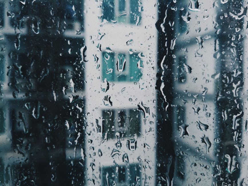 Rainy Day Activities in Vancouver